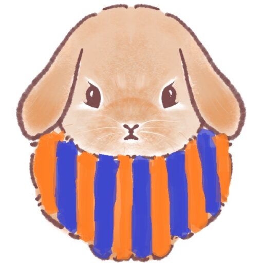 albirexrobbenrabbit